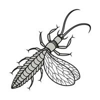 Stylish Corydalus Cornutus Illustration vector