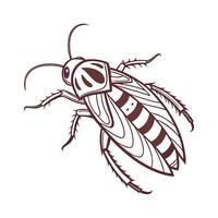 Stylish Coscinia Striata Moth Illustration vector