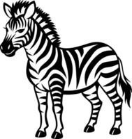 Stylized Zebra Illustration for Educational Materials and Creative Projects vector