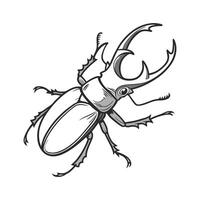 Cryptocercus Punctulatus Design on White vector