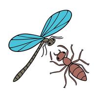 Damselfly Ant Design on White Background vector