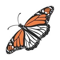 Danaus Plexippus Butterfly Design on White vector