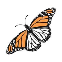 Creative Danaus Plexippus Graphic vector