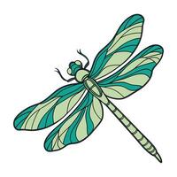 Dragonfly Design 5 on White Background vector