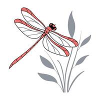 Dragonfly Design 8 on White Background vector
