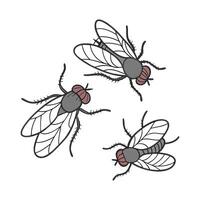 Creative Drain Flies Graphic 2 on White vector