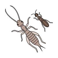 Earwig Ant Design 1 on White vector