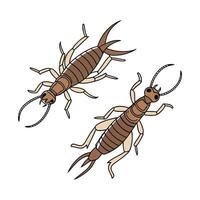 Beautiful Earwigs Design 4 on White vector