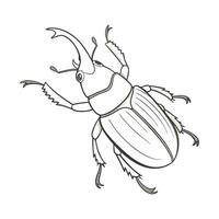 Creative Ectobius Pallidus Graphic 2 vector
