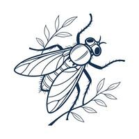 Empis Livida Fly Design 1 vector
