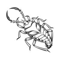 Beautiful Elasmostethus Interstinctus Design vector