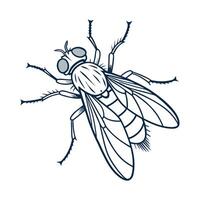 Creative Empis Livida Graphic 2 vector