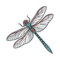 Epitheca Cynosura Dragonfly Design 1 vector