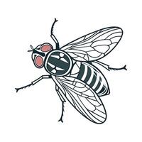 Eristalinus Taeniops Fly Design 1 vector