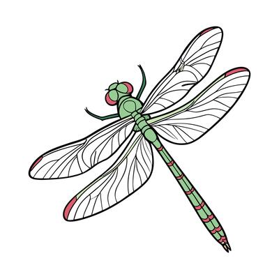 Erythemis Simplicicollis Dragonfly Design 1
