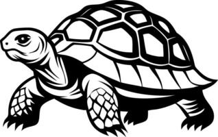 Detailed Black Tortoise Design for Tattoo Art and Coloring Projects vector