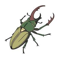 Beautiful Euchroma Gigantea Design vector