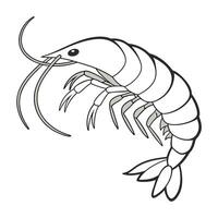 Eumecopoda Cyrtoscelis Design 1 vector