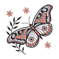 Creative Euphoria Fulgida Graphic 2 vector