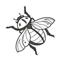 Eurygaster Bug Design 1 vector