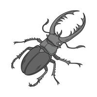 Stylish Eurycantha Calcarata Illustration vector