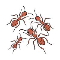 Fire Ants Group Design 1 on White vector