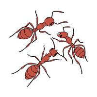 Creative Fire Ants Graphic 2 on White vector