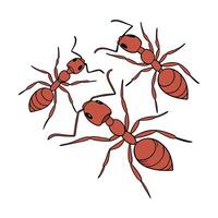Stylish Fire Ants Design 3 on White vector