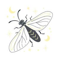 Colorful Firefly Design on a White vector