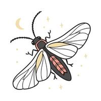 Firefly Design 5 on White Background vector