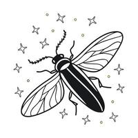 Creative Firefly Graphic 3 vector