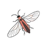 Firefly Design 6 on White Background vector