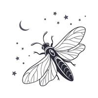 Realistic Firefly Art on White vector