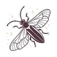 Firefly Design 7 on White Background vector