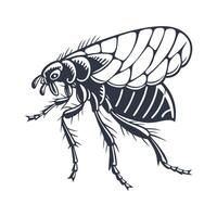 Flea Design 5 on White Background vector