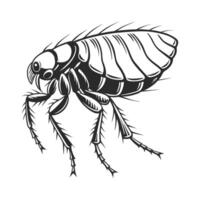 Flea Design 11 on White Background vector