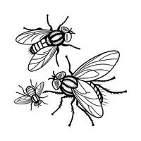 Beautiful Flies Design 4 vector