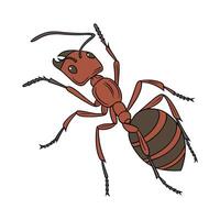 Stylish Formica Rufa Illustration vector