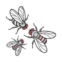 Beautiful Fruit Flies Design 5 vector