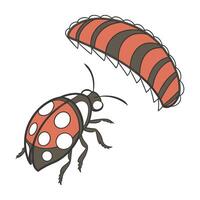 Creative Gibbifer Californicus Graphic 2 vector