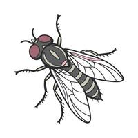 Glossina Morsitans Tsetse Fly Design 1 vector