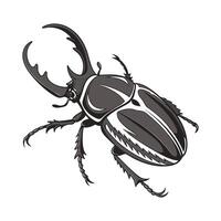 Stylish Goliathus Goliatus Illustration vector