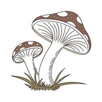 Gomphus Vulgatissimus Dragonfly Design 1 vector