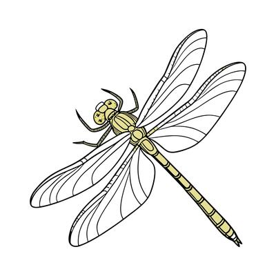 Creative Gomphus Vulgatissimus Graphic 2