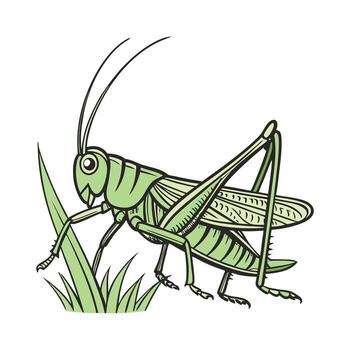 Grasshopper Design 3 on White Background vector