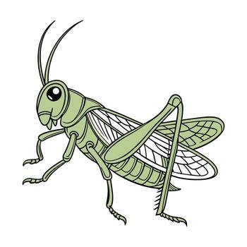 Stylish Grasshopper Design 5 vector