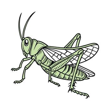 Grasshopper Design 6 on White Background vector