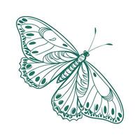 Green Lacewing Design 1 vector