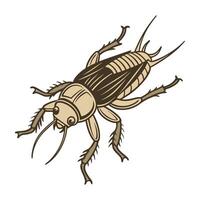 Creative Gryllotalpa Graphic 2 vector