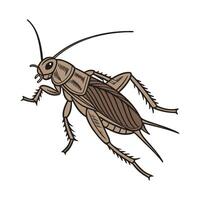 Beautiful Gryllus Campestris Design vector